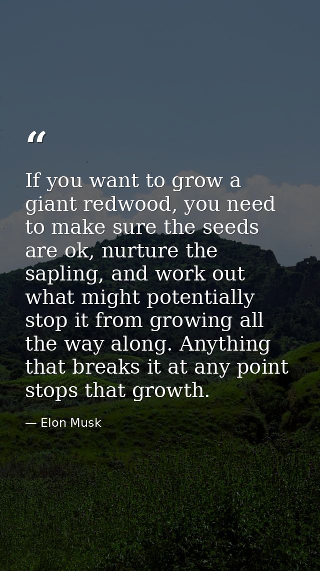 If you want to grow a giant redwood, you need to make sure the seeds are ok, nurture the sapling, and work out what migh — Elon Musk