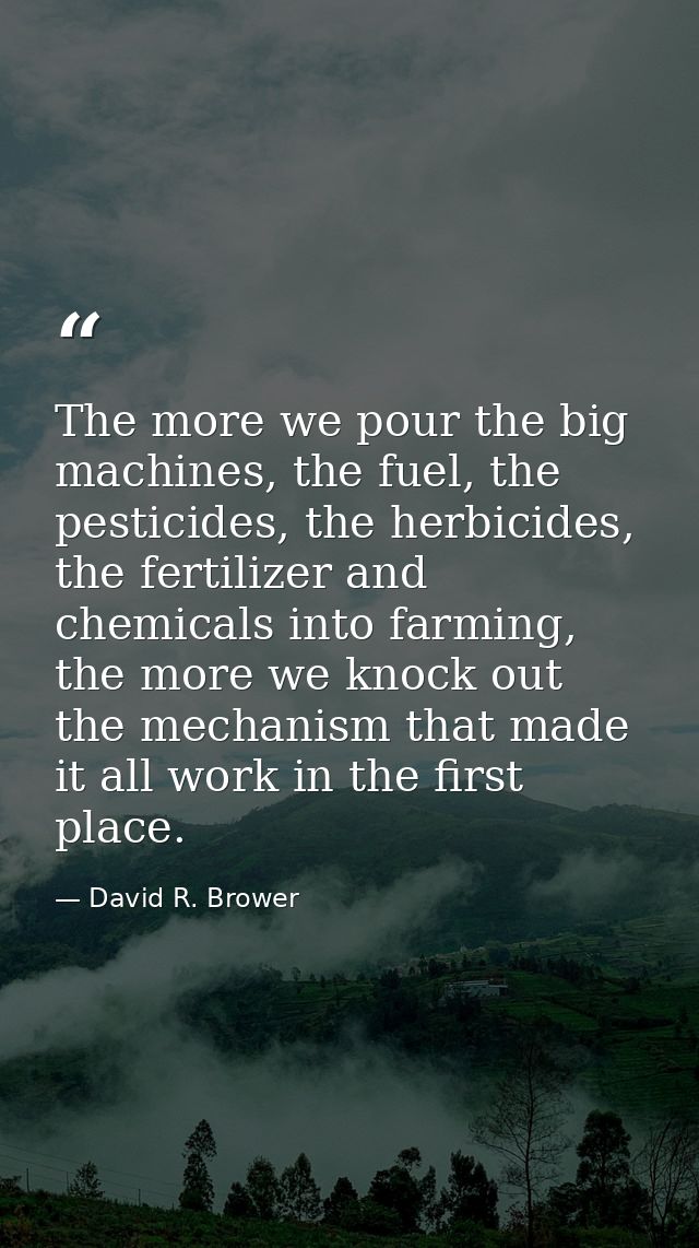 The more we pour the big machines, the fuel, the pesticides, the herbicides, the fertilizer and chemicals into farming,  — David R. Brower