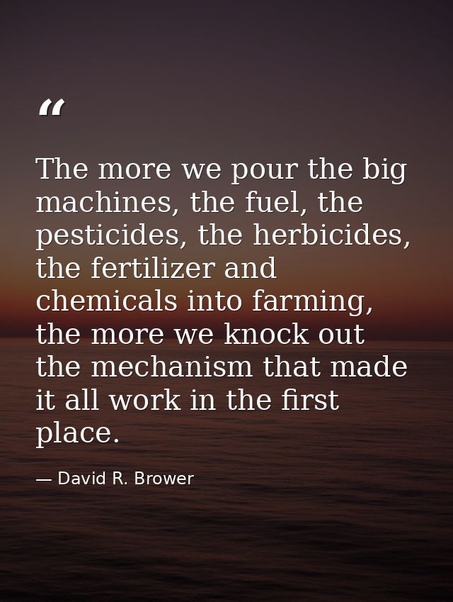 The more we pour the big machines, the fuel, the pesticides, the herbicides, the fertilizer and chemicals into farming,  — David R. Brower