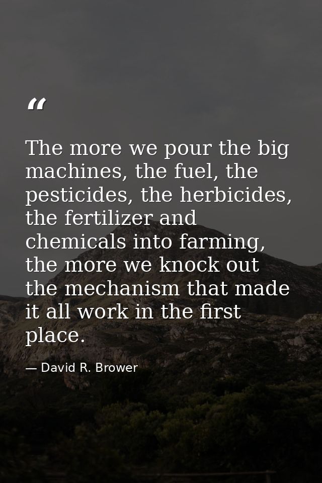 The more we pour the big machines, the fuel, the pesticides, the herbicides, the fertilizer and chemicals into farming,  — David R. Brower