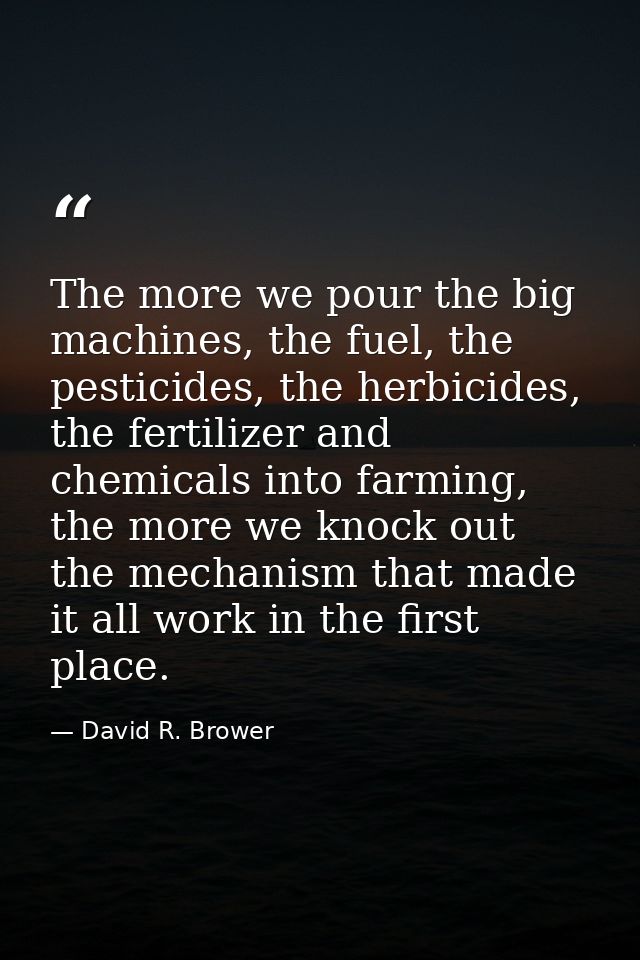 The more we pour the big machines, the fuel, the pesticides, the herbicides, the fertilizer and chemicals into farming,  — David R. Brower