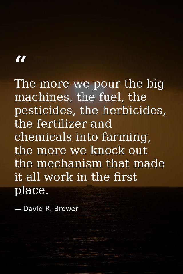 The more we pour the big machines, the fuel, the pesticides, the herbicides, the fertilizer and chemicals into farming,  — David R. Brower