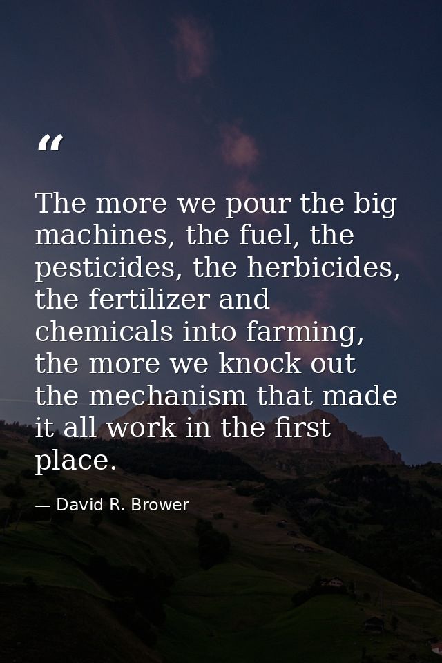 The more we pour the big machines, the fuel, the pesticides, the herbicides, the fertilizer and chemicals into farming,  — David R. Brower