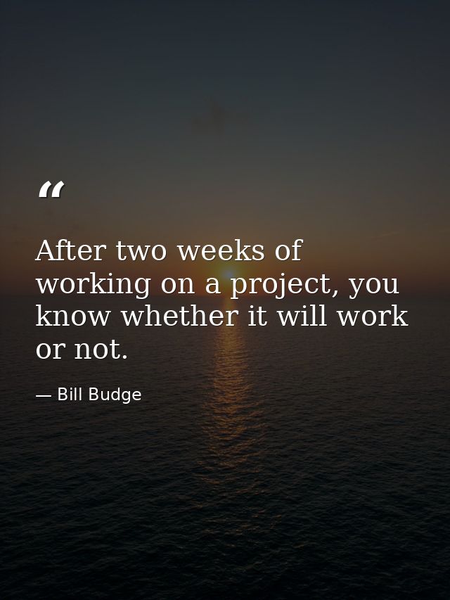 After two weeks of working on a project, you know whether it will work or not. — Bill Budge