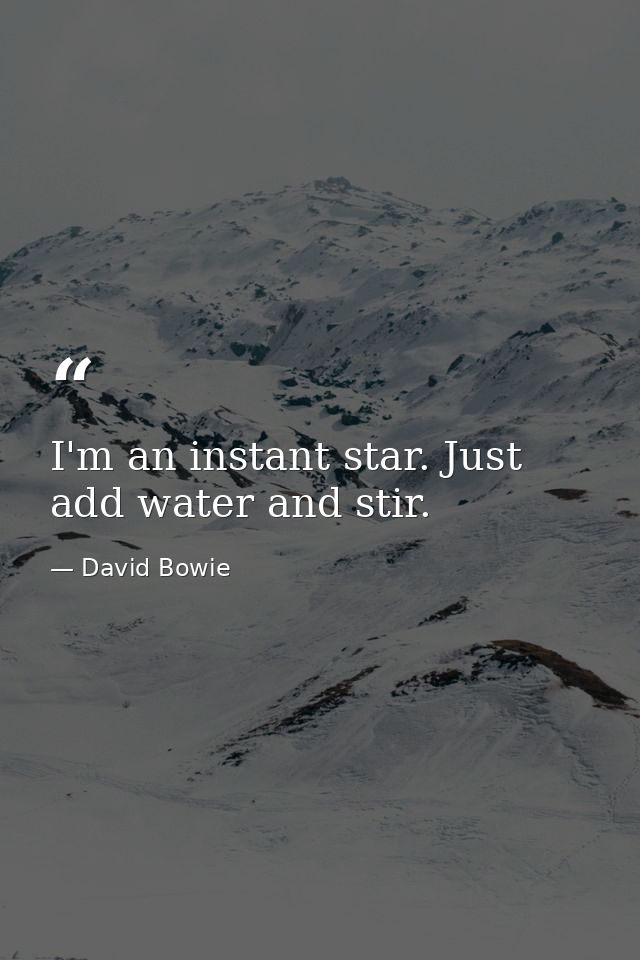 I'm an instant star. Just add water and stir. — David Bowie