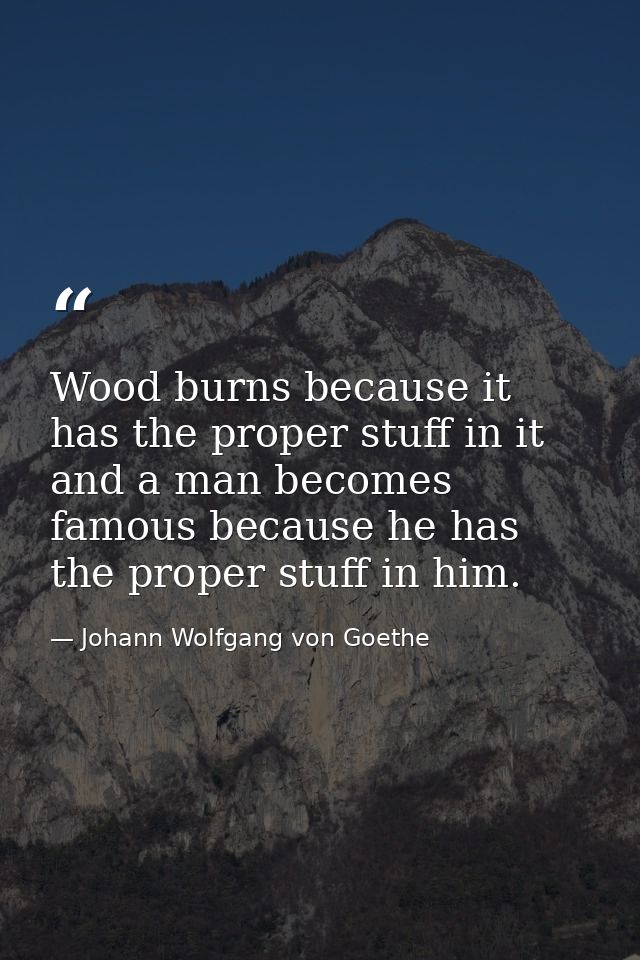 Wood burns because it has the proper stuff in it and a man becomes famous because he has the proper stuff in him. — Johann Wolfgang von Goethe