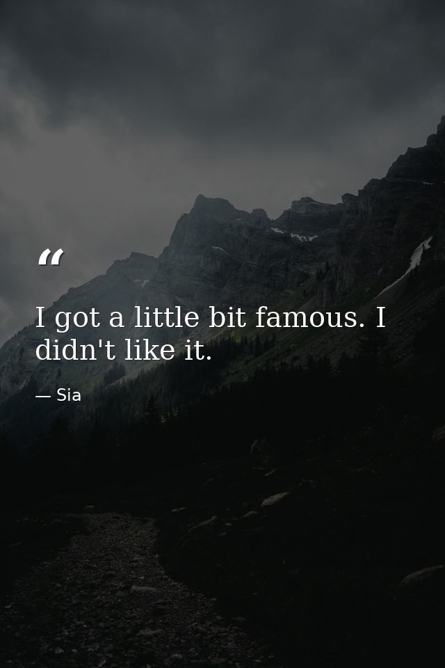 I got a little bit famous. I didn't like it. — Sia
