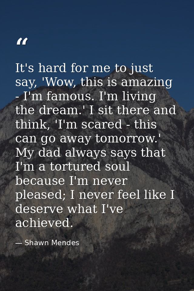 It's hard for me to just say, 'Wow, this is amazing - I'm famous. I'm living the dream.' I sit there and think, 'I'm sca — Shawn Mendes