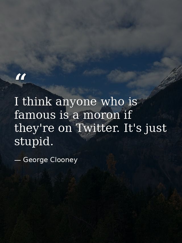 I think anyone who is famous is a moron if they're on Twitter. It's just stupid. — George Clooney