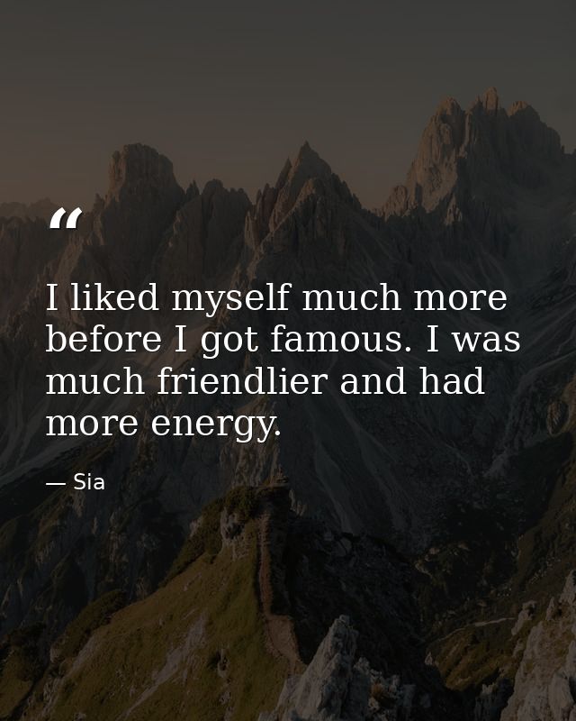 I liked myself much more before I got famous. I was much friendlier and had more energy. — Sia
