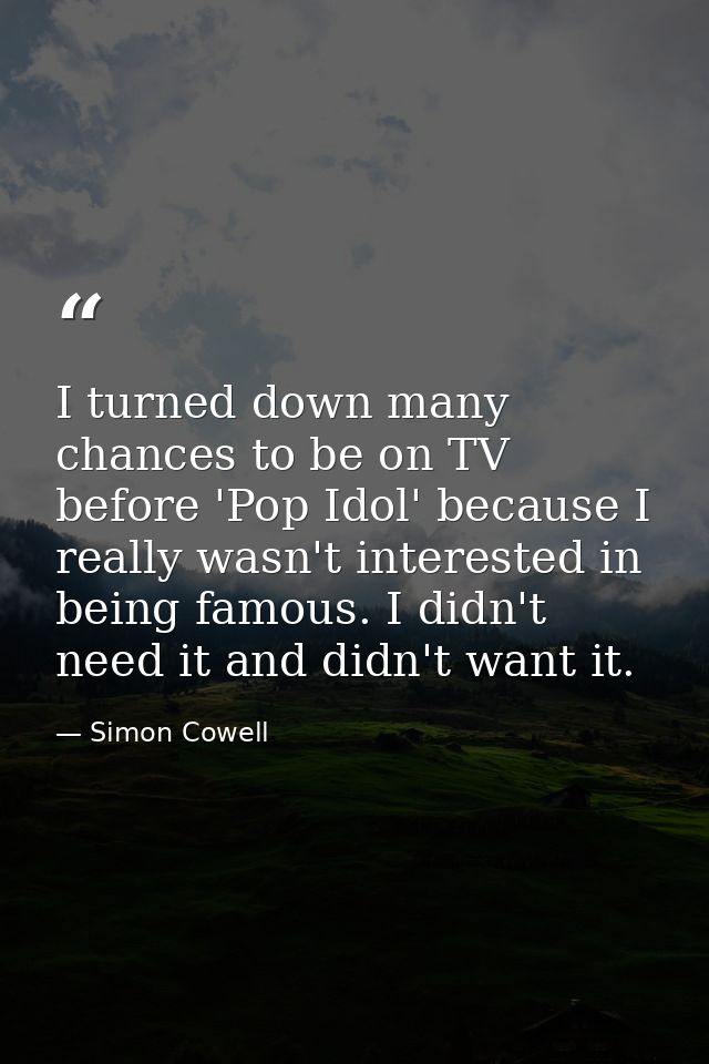 I turned down many chances to be on TV before 'Pop Idol' because I really wasn't interested in being famous. I didn't ne — Simon Cowell