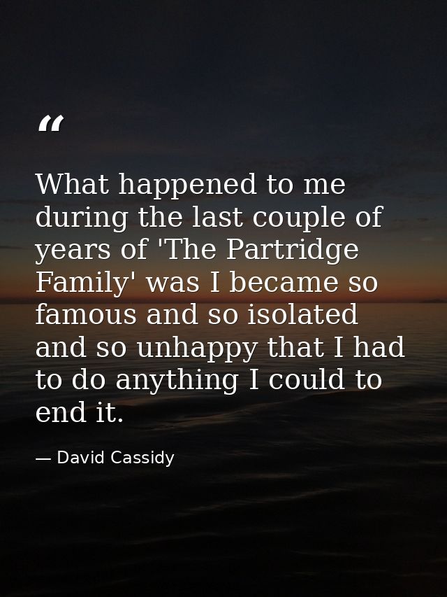 What happened to me during the last couple of years of 'The Partridge Family' was I became so famous and so isolated and — David Cassidy