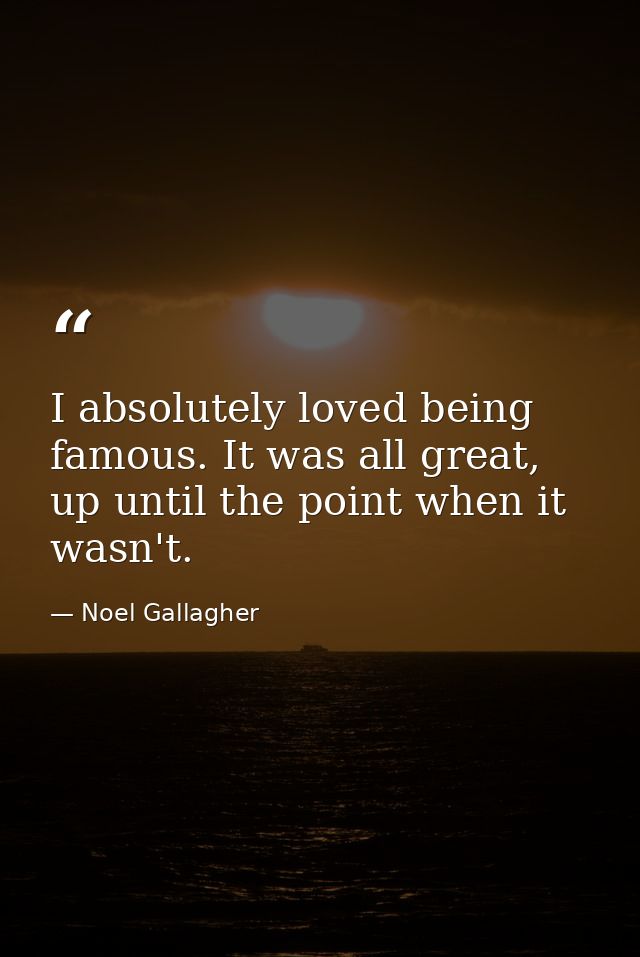 I absolutely loved being famous. It was all great, up until the point when it wasn't. — Noel Gallagher