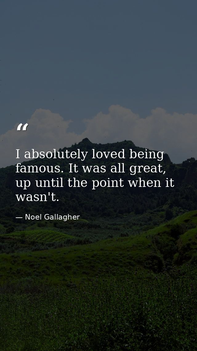I absolutely loved being famous. It was all great, up until the point when it wasn't. — Noel Gallagher