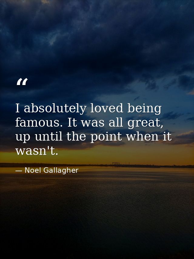 I absolutely loved being famous. It was all great, up until the point when it wasn't. — Noel Gallagher