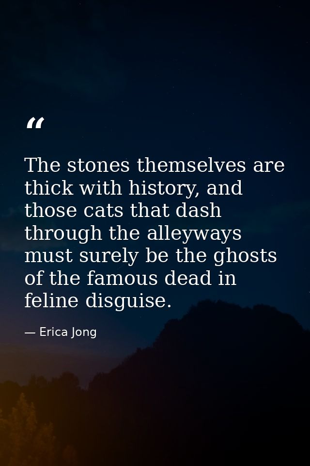 The stones themselves are thick with history, and those cats that dash through the alleyways must surely be the ghosts o — Erica Jong
