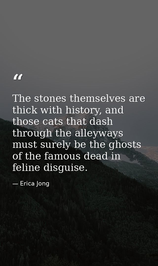 The stones themselves are thick with history, and those cats that dash through the alleyways must surely be the ghosts o — Erica Jong