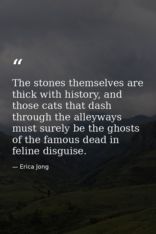 The stones themselves are thick with history, and those cats that dash through the alleyways must surely be the ghosts o — Erica Jong