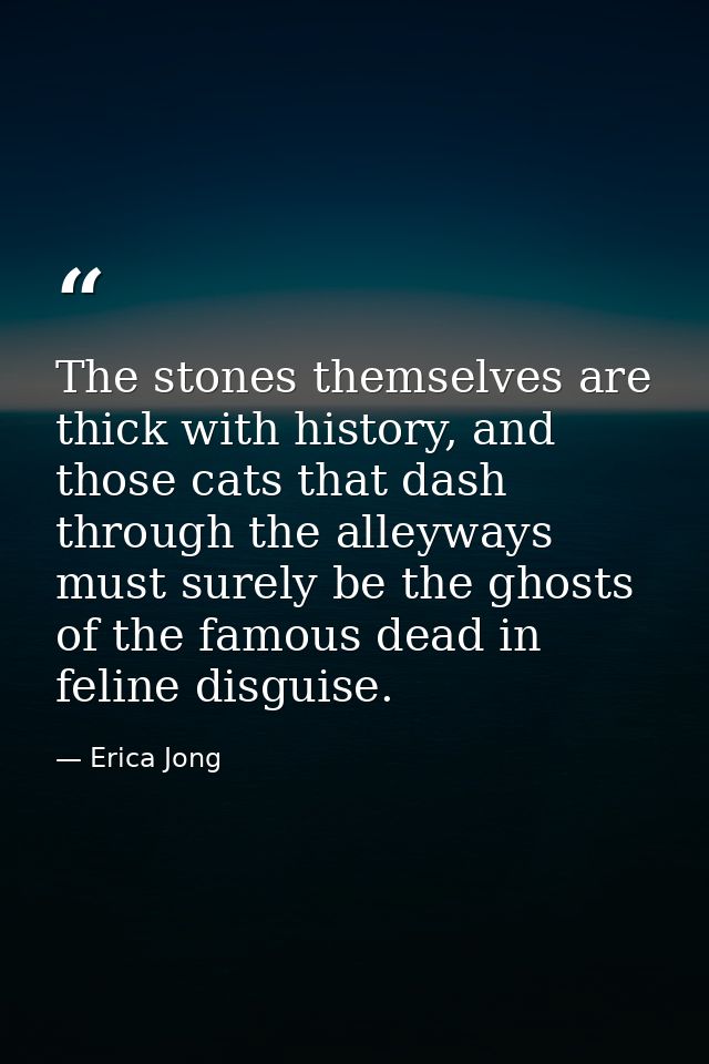 The stones themselves are thick with history, and those cats that dash through the alleyways must surely be the ghosts o — Erica Jong