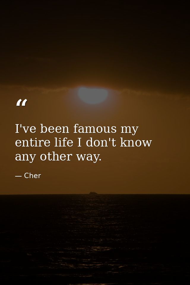I've been famous my entire life I don't know any other way. — Cher