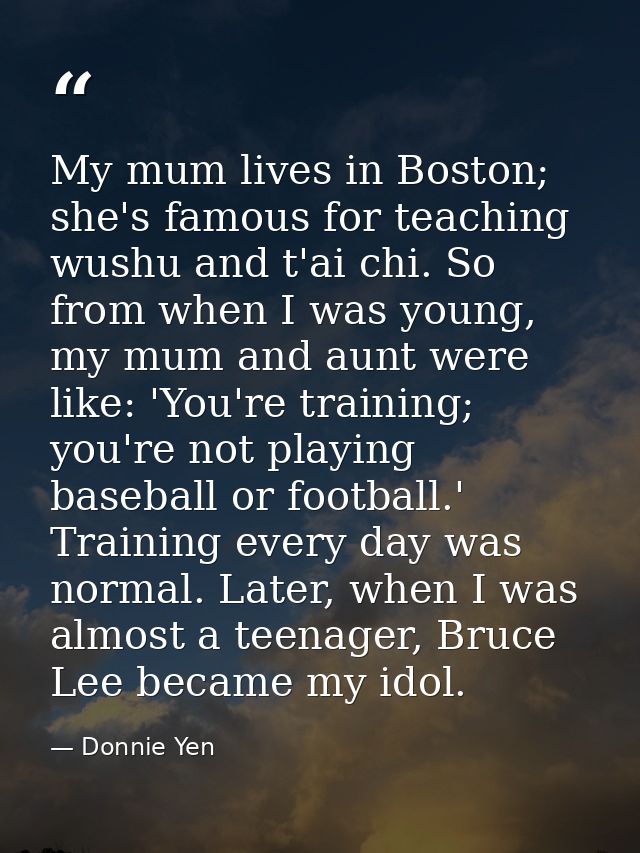 My mum lives in Boston; she's famous for teaching wushu and t'ai chi. So from when I was young, my mum and aunt were lik — Donnie Yen