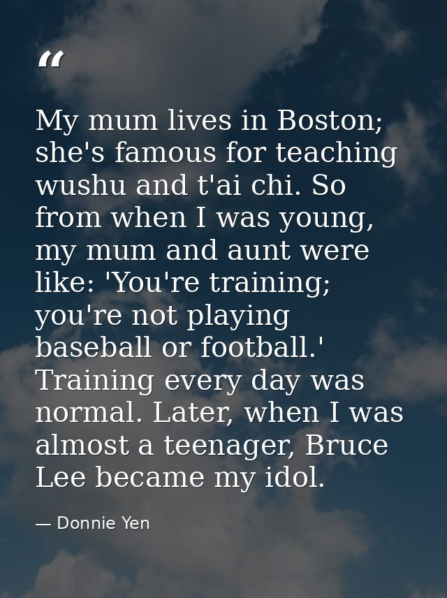 My mum lives in Boston; she's famous for teaching wushu and t'ai chi. So from when I was young, my mum and aunt were lik — Donnie Yen