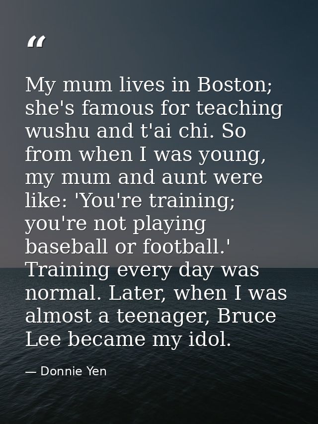 My mum lives in Boston; she's famous for teaching wushu and t'ai chi. So from when I was young, my mum and aunt were lik — Donnie Yen