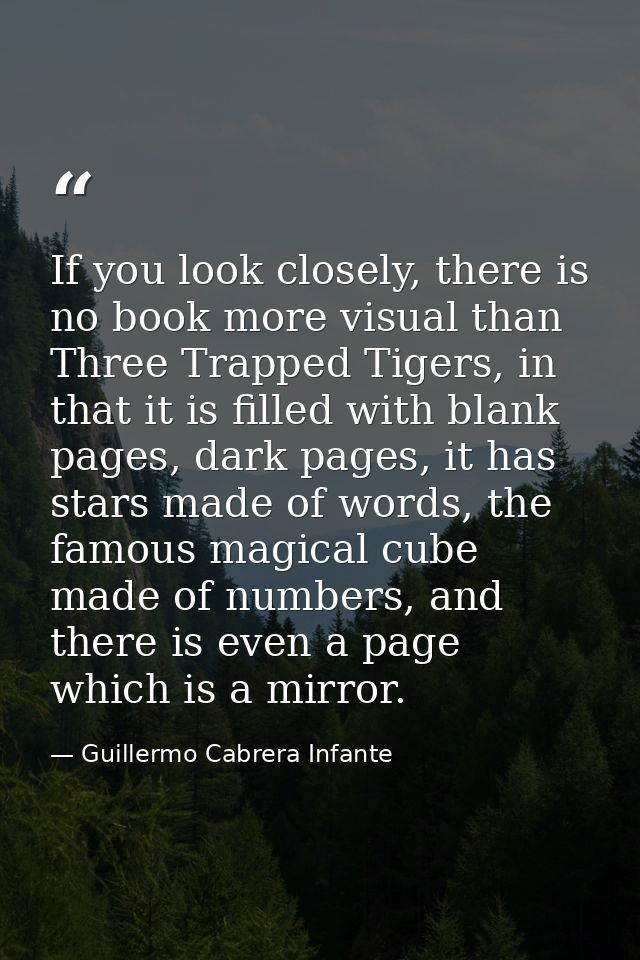 If you look closely, there is no book more visual than Three Trapped Tigers, in that it is filled with blank pages, dark — Guillermo Cabrera Infante
