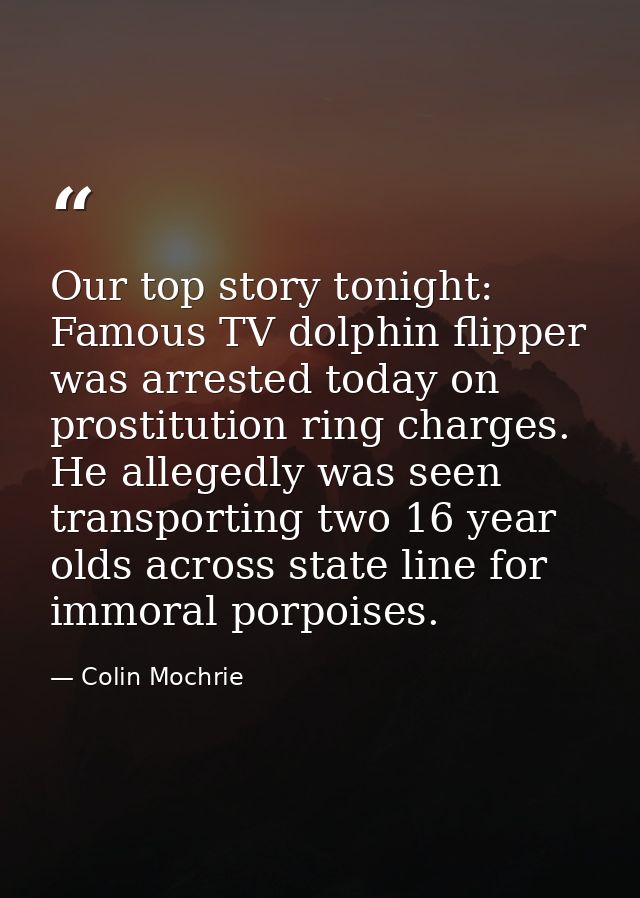 Our top story tonight: Famous TV dolphin flipper was arrested today on prostitution ring charges. He allegedly was seen  — Colin Mochrie