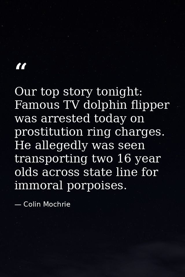 Our top story tonight: Famous TV dolphin flipper was arrested today on prostitution ring charges. He allegedly was seen  — Colin Mochrie