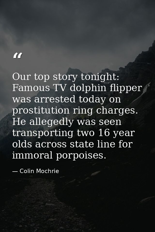 Our top story tonight: Famous TV dolphin flipper was arrested today on prostitution ring charges. He allegedly was seen  — Colin Mochrie