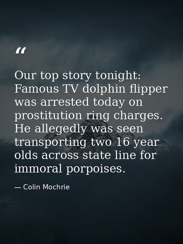 Our top story tonight: Famous TV dolphin flipper was arrested today on prostitution ring charges. He allegedly was seen  — Colin Mochrie
