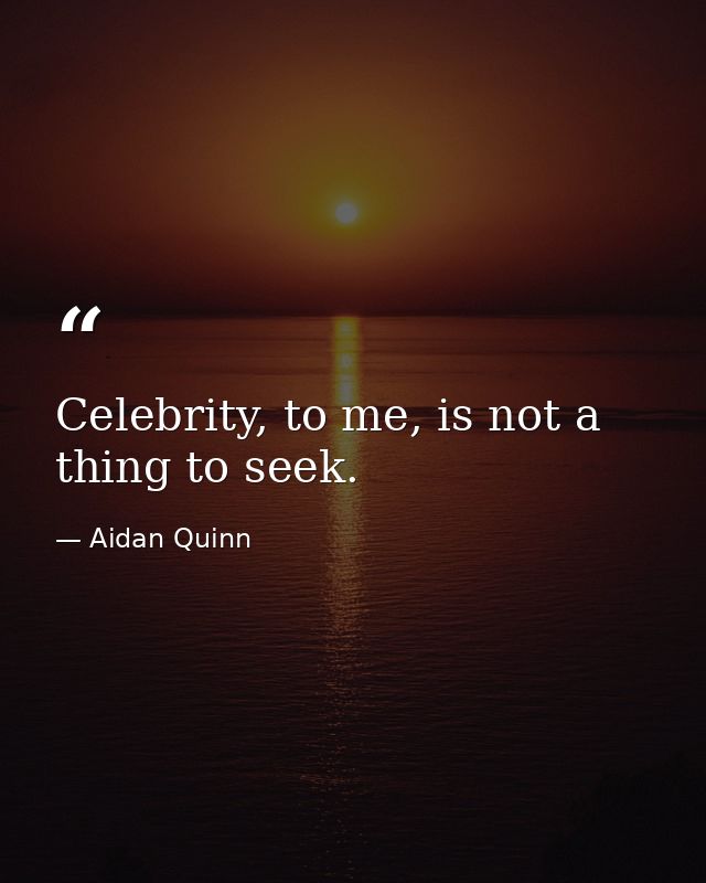 Celebrity, to me, is not a thing to seek. — Aidan Quinn