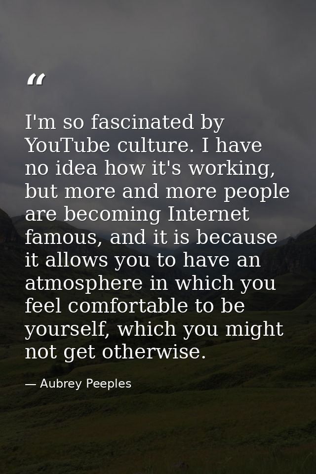 I'm so fascinated by YouTube culture. I have no idea how it's working, but more and more people are becoming Internet fa — Aubrey Peeples