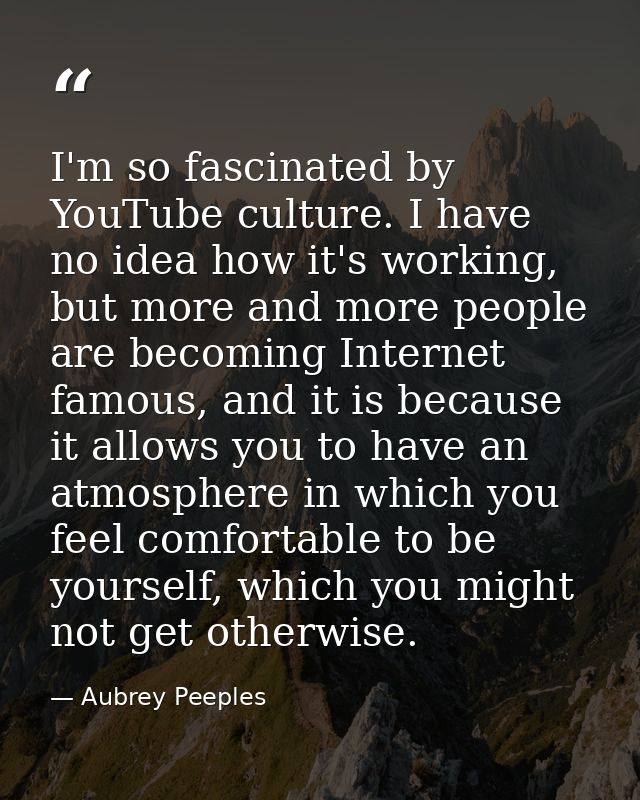 I'm so fascinated by YouTube culture. I have no idea how it's working, but more and more people are becoming Internet fa — Aubrey Peeples