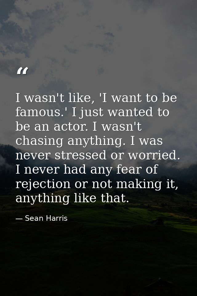 I wasn't like, 'I want to be famous.' I just wanted to be an actor. I wasn't chasing anything. I was never stressed or w — Sean Harris