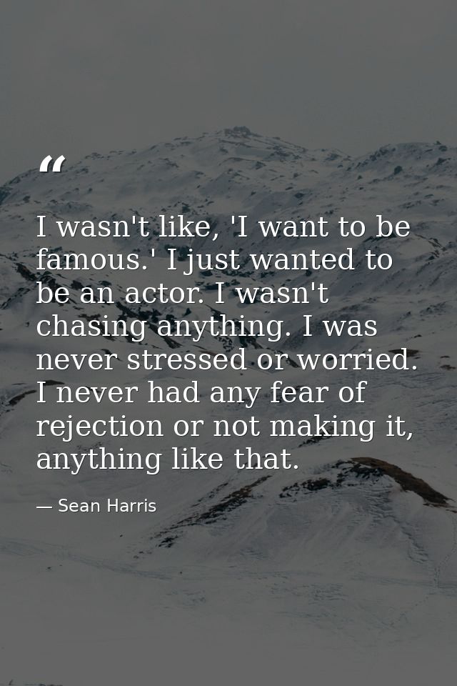 I wasn't like, 'I want to be famous.' I just wanted to be an actor. I wasn't chasing anything. I was never stressed or w — Sean Harris
