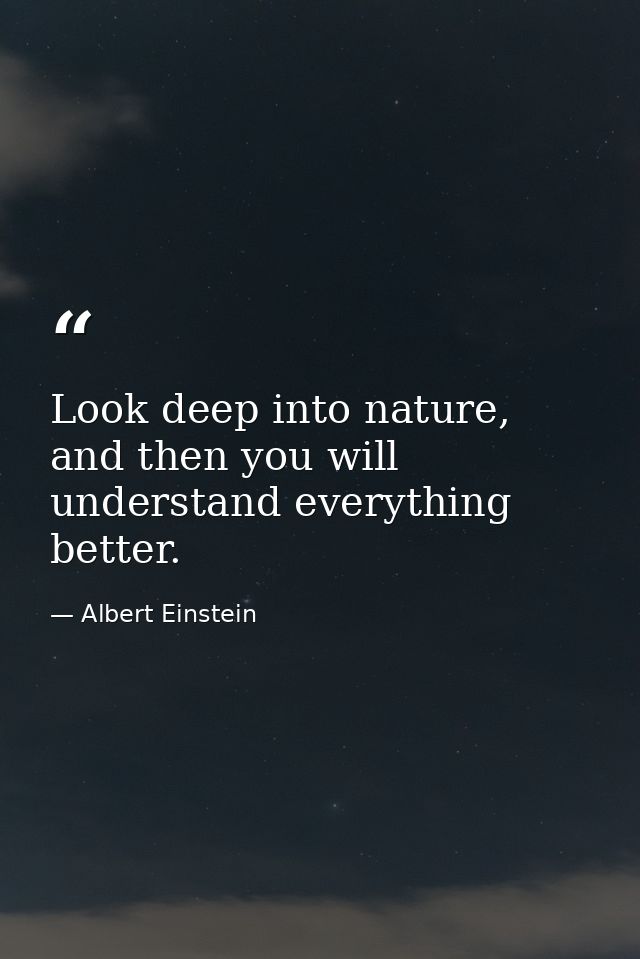 Look deep into nature, and then you will understand everything better. — Albert Einstein