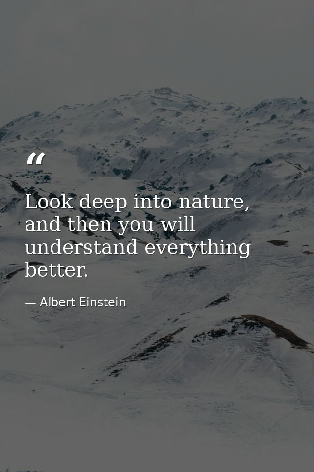 Look deep into nature, and then you will understand everything better. — Albert Einstein