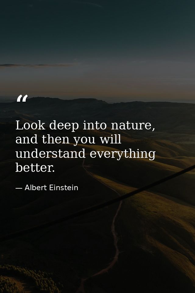 Look deep into nature, and then you will understand everything better. — Albert Einstein