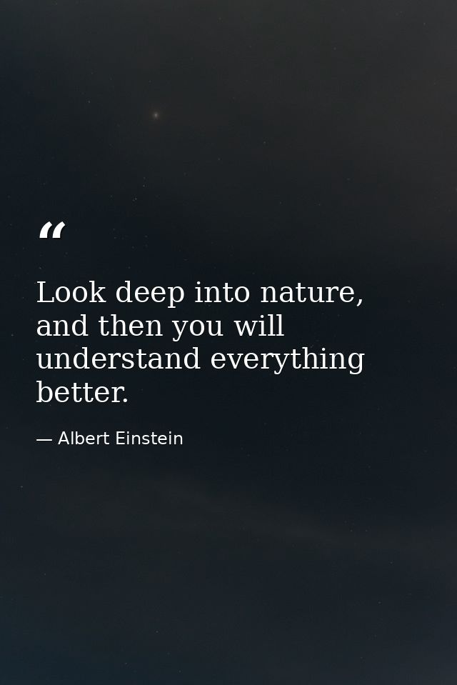 Look deep into nature, and then you will understand everything better. — Albert Einstein