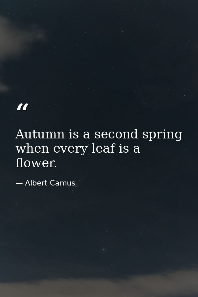 Autumn is a second spring when every leaf is a flower. — Albert Camus