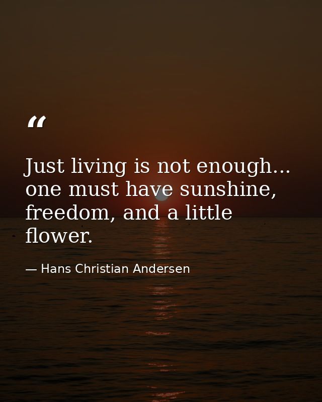 Just living is not enough... one must have sunshine, freedom, and a little flower. — Hans Christian Andersen