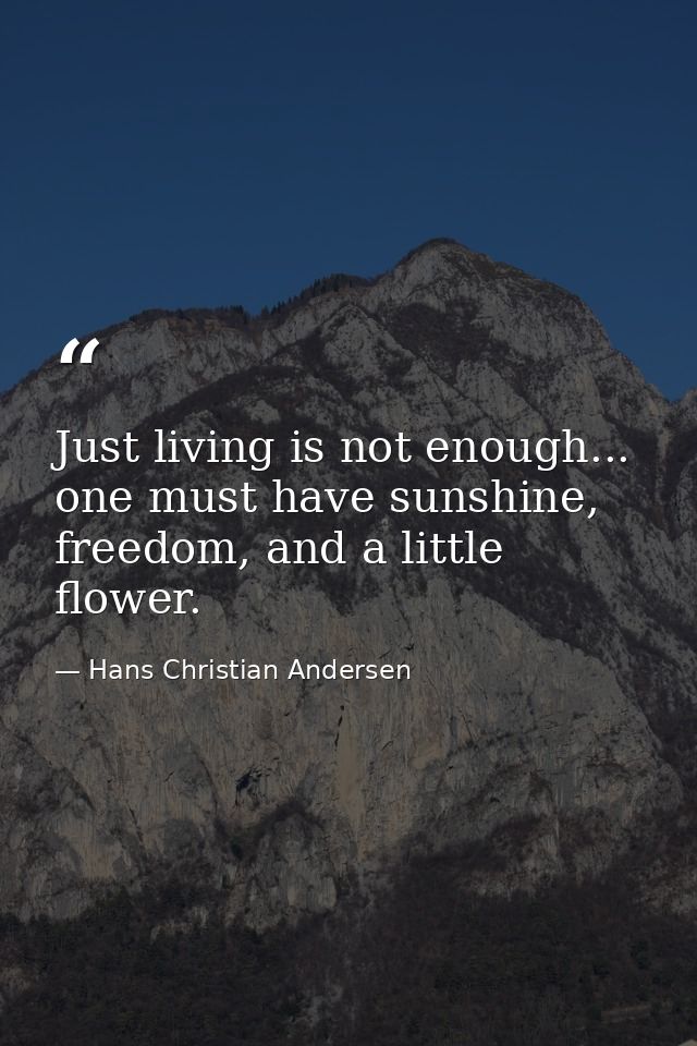 Just living is not enough... one must have sunshine, freedom, and a little flower. — Hans Christian Andersen