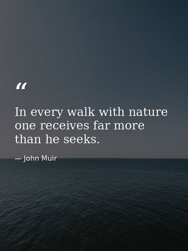 In every walk with nature one receives far more than he seeks. — John Muir
