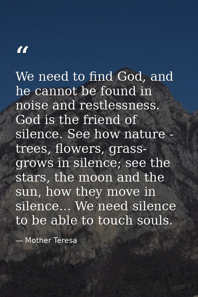 We need to find God, and he cannot be found in noise and restlessness. God is the friend of silence. See how nature - tr — Mother Teresa