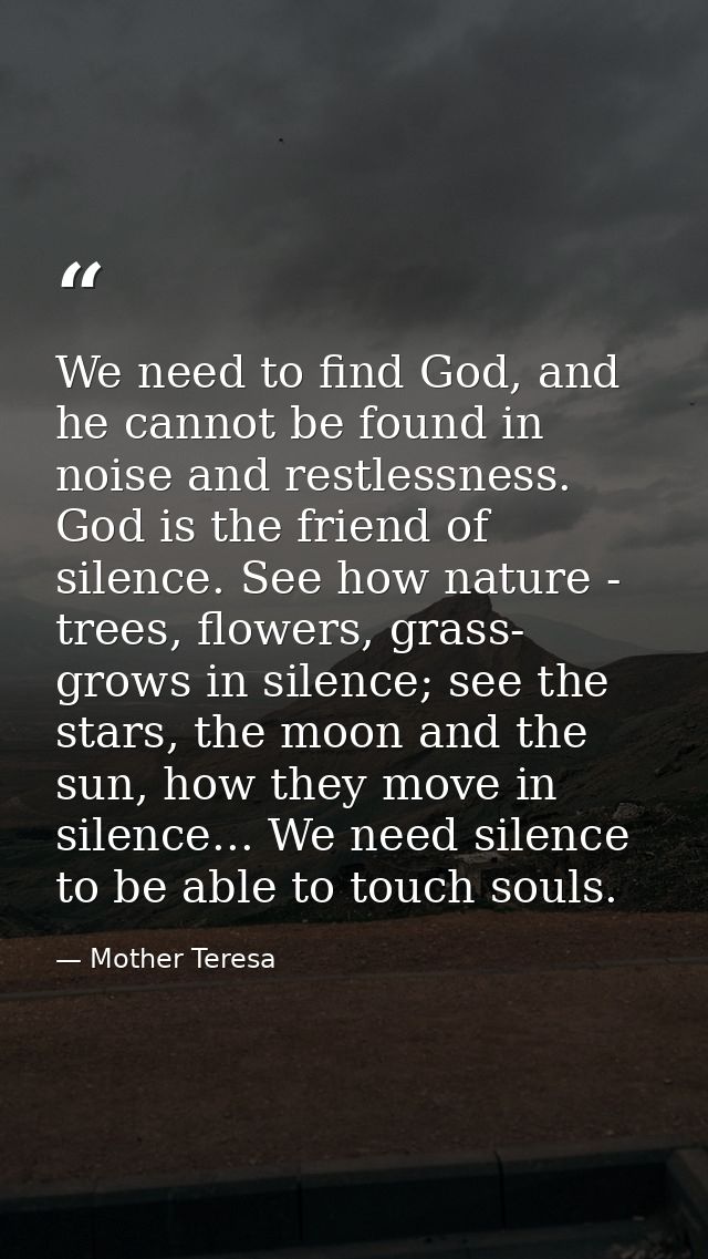 We need to find God, and he cannot be found in noise and restlessness. God is the friend of silence. See how nature - tr — Mother Teresa