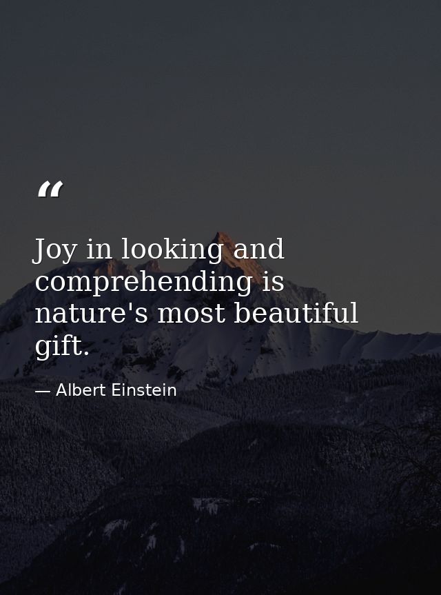 Joy in looking and comprehending is nature's most beautiful gift. — Albert Einstein