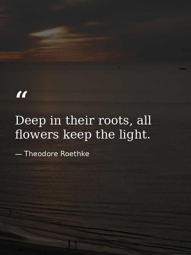 Deep in their roots, all flowers keep the light. — Theodore Roethke