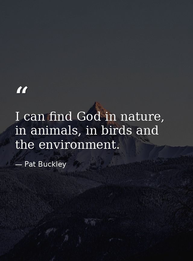 I can find God in nature, in animals, in birds and the environment. — Pat Buckley